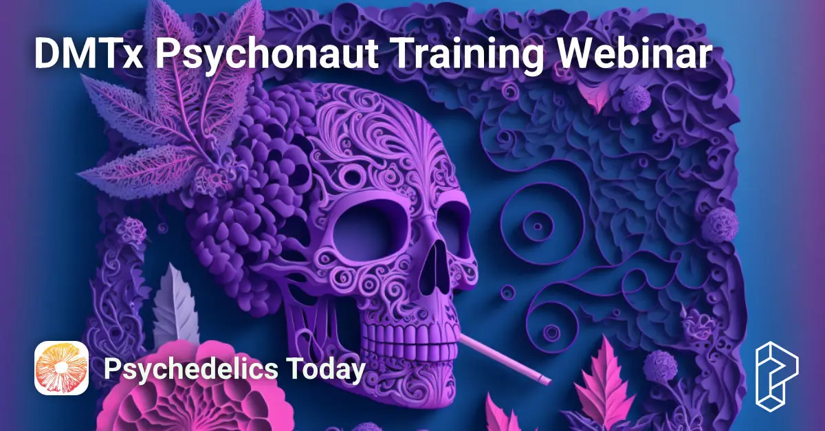 DMTx Psychonaut Training Webinar Course Image