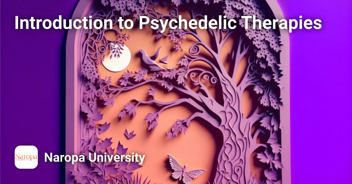 Introduction to Psychedelic Therapies Course Image