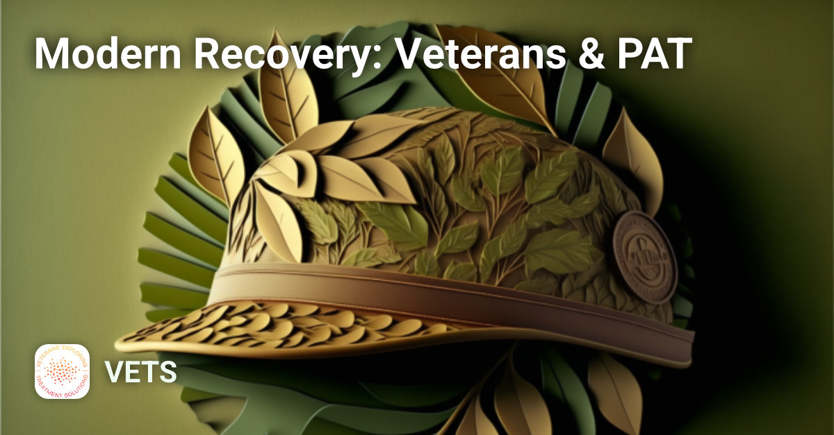 Modern Recovery: Veterans & Psychedelic-assisted Therapy Course Image