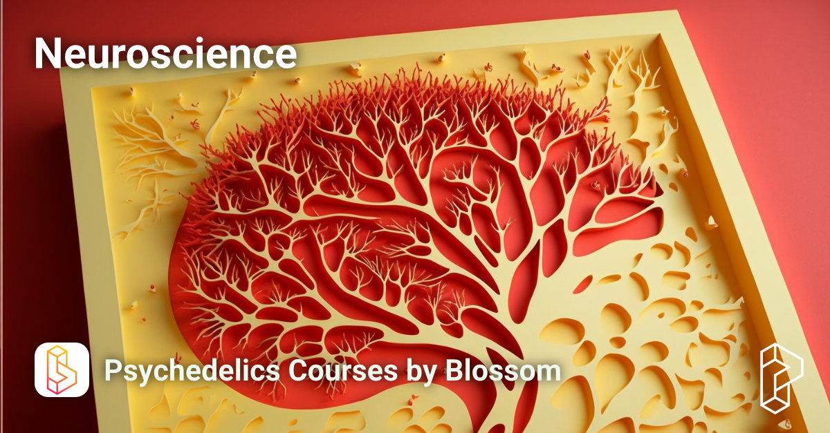 Neuroscience Courses Image