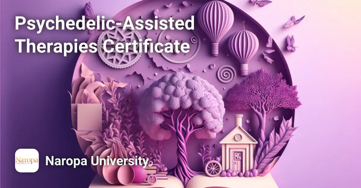 Psychedelic-Assisted Therapies Certificate Course Image