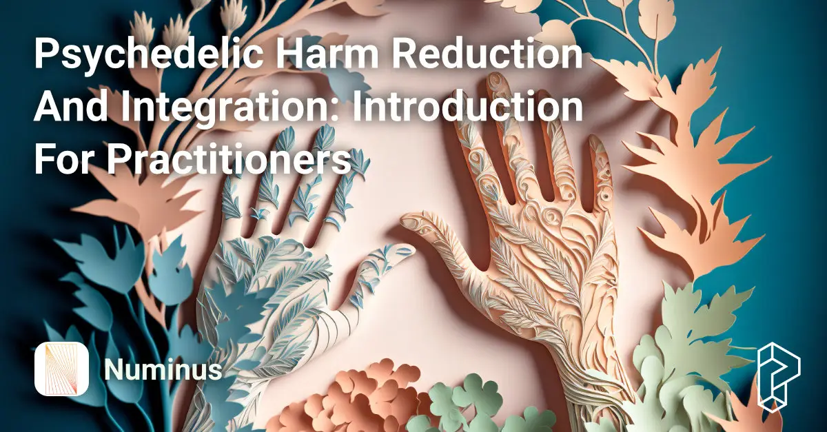 Psychedelic Harm Reduction And Integration: Introduction For Practitioners Course Image