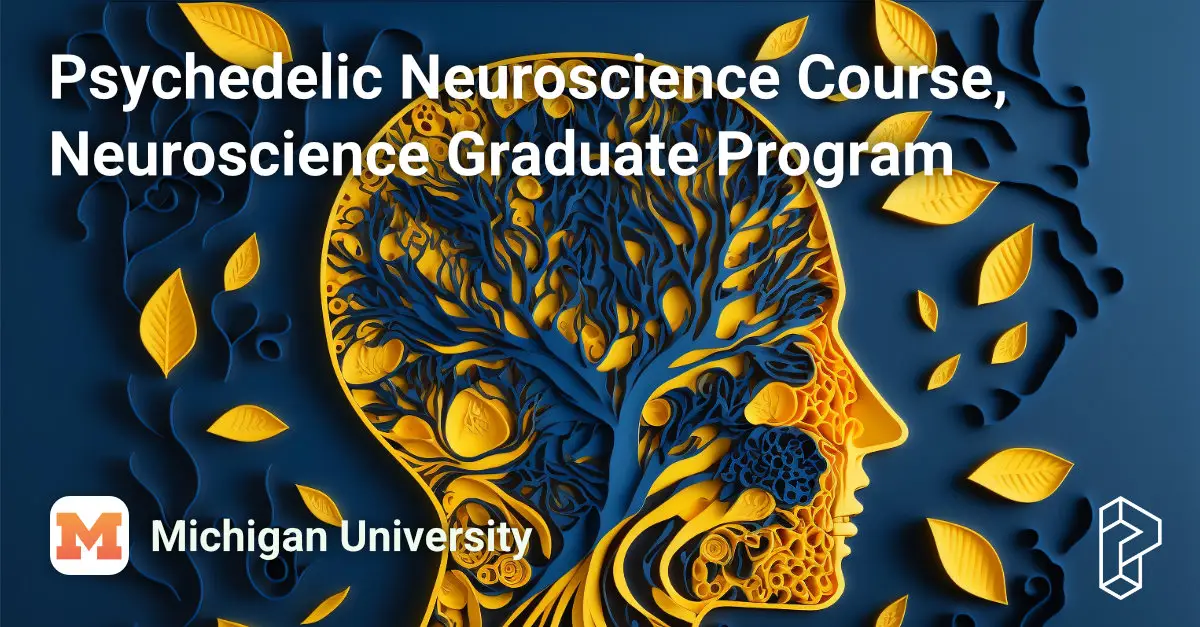 Psychedelic Neuroscience Course, Neuroscience Graduate Program Course Image