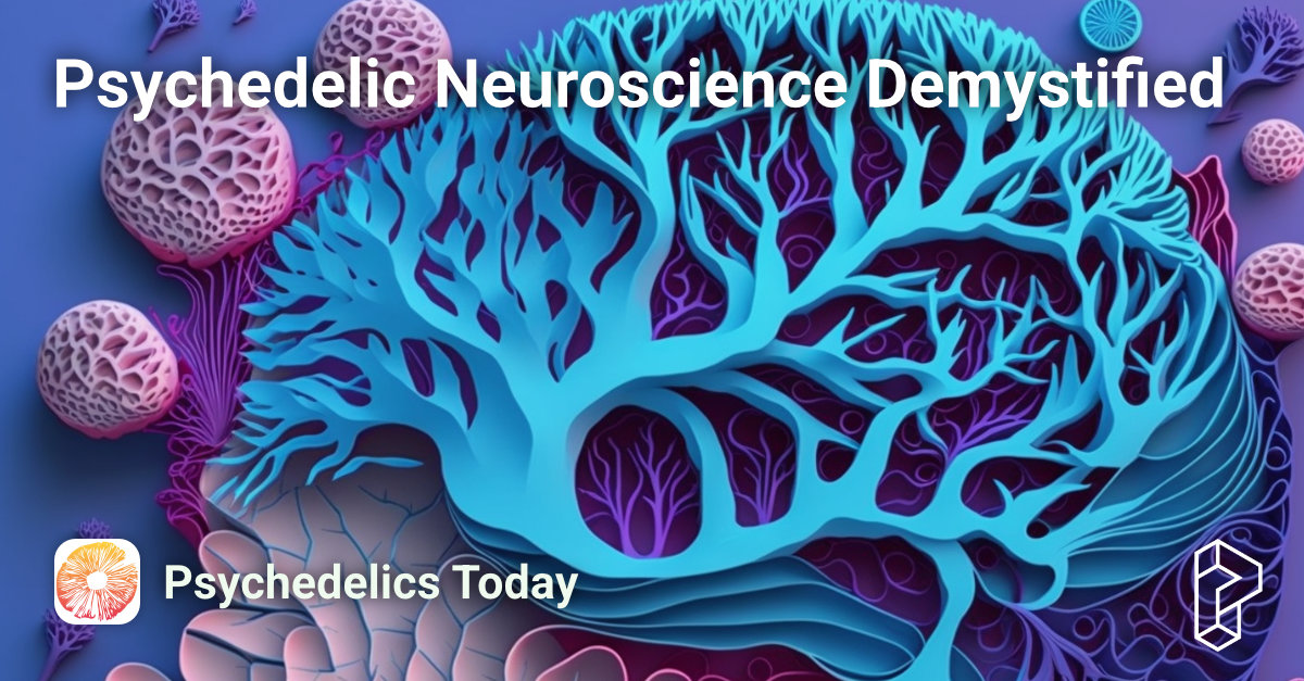 Psychedelic Neuroscience Demystified Course Image