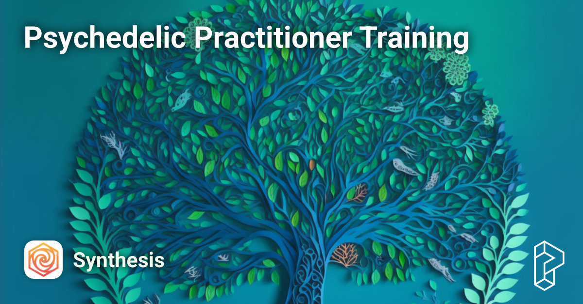Psychedelic Practitioner Training Course Image
