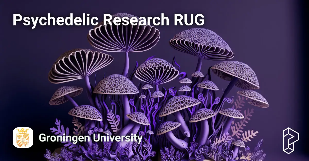 Psychedelic Research RUG Course Image