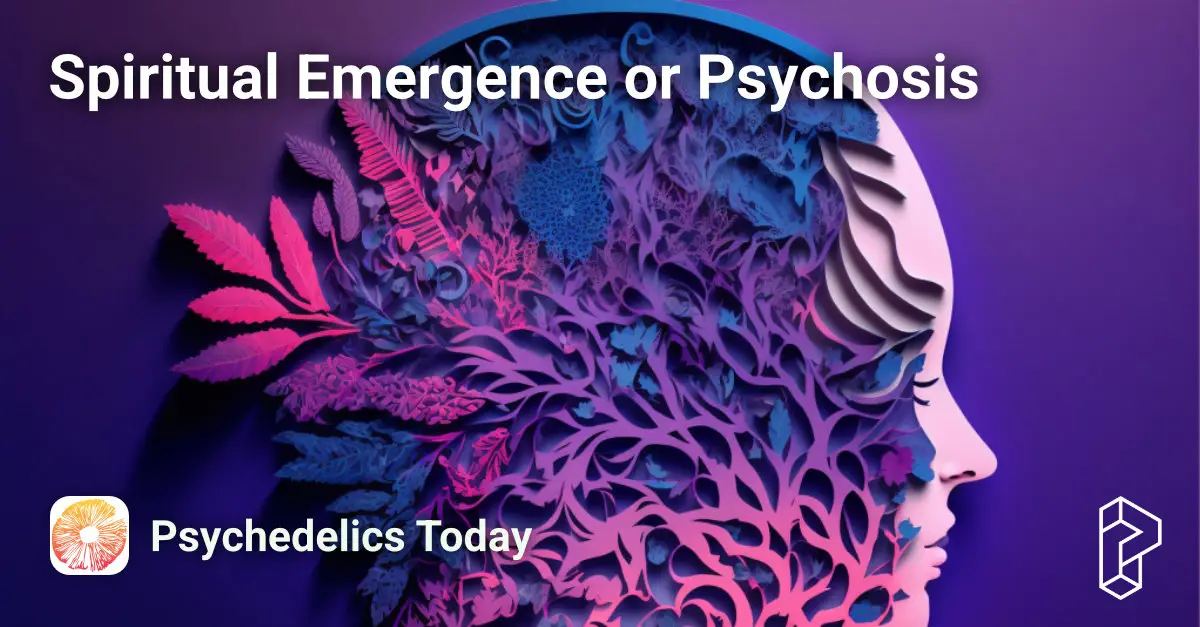 Spiritual Emergence or Psychosis - Webinar Course Image