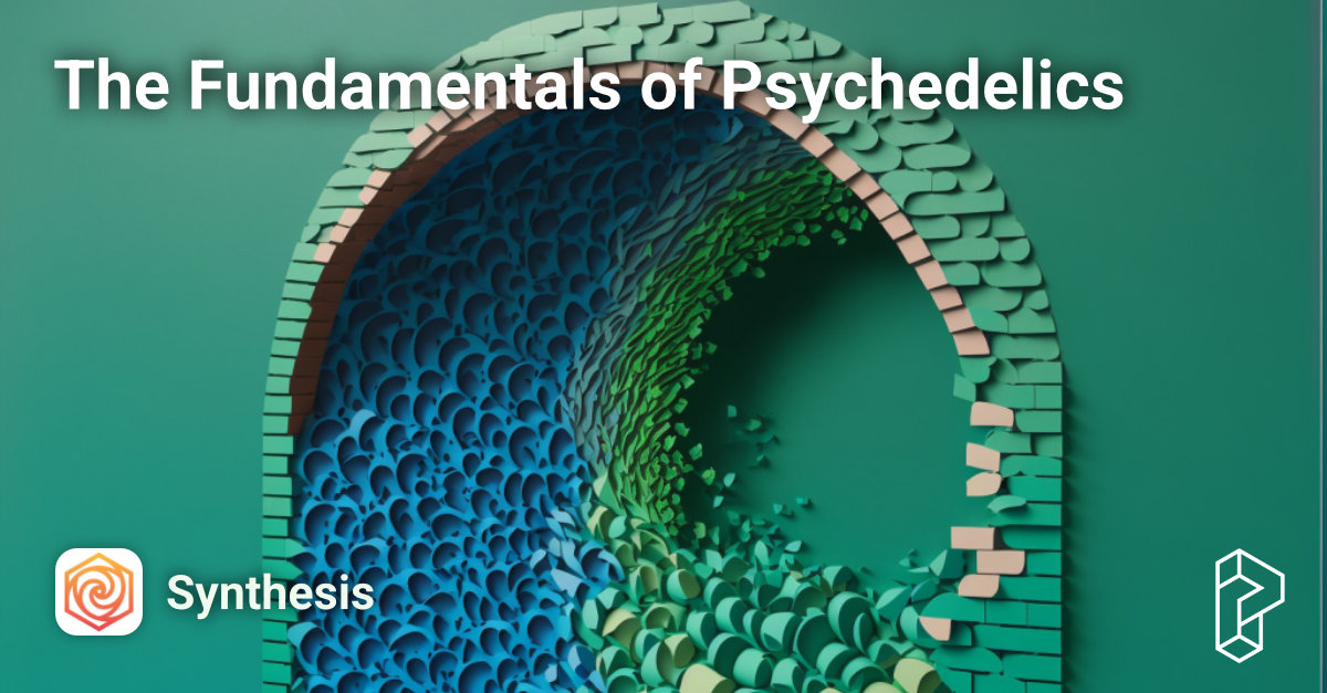 The Fundamentals of Psychedelics Course Image