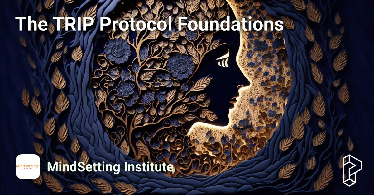 The TRIP Protocol Foundations Course Image