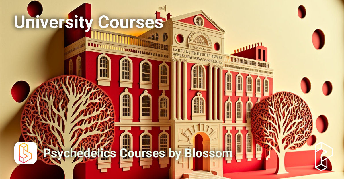 University Courses Image